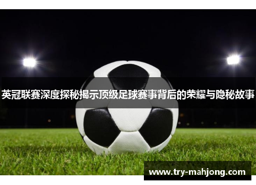 英冠联赛深度探秘揭示顶级足球赛事背后的荣耀与隐秘故事 英冠联赛深度探秘揭示顶级足球赛事背后的荣耀与隐秘故事